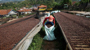 DIY Dorong Transformasi Industri Kopi Berbasis Budaya