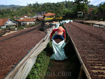 DIY Dorong Transformasi Industri Kopi Berbasis Budaya