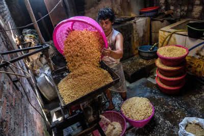 Konsumsi Kedelai Nasional Diprediksi Naik Jadi 2,75 Juta Metrik Ton Pada Tahun Ini