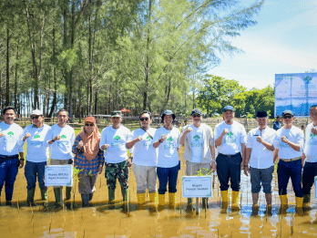 PTBA Luncurkan Mangrove Nexus, Jaga Pesisir dan Dorong Ekonomi Hijau