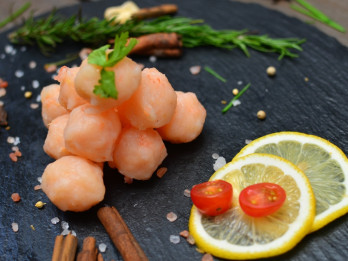 Indo American Seafoods (ISEA) Incar Pendapatan Rp508,9 Miliar, Tepis Efek Tarif Trump