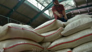 Siap-Siap! Bansos Beras 10 Kg Juni-Juli 2025 Segera Cair