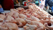 H-1 IdulAdha Harga Daging Ayam di Palembang Melonjak