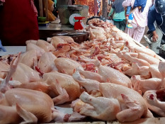 H-1 IdulAdha Harga Daging Ayam di Palembang Melonjak