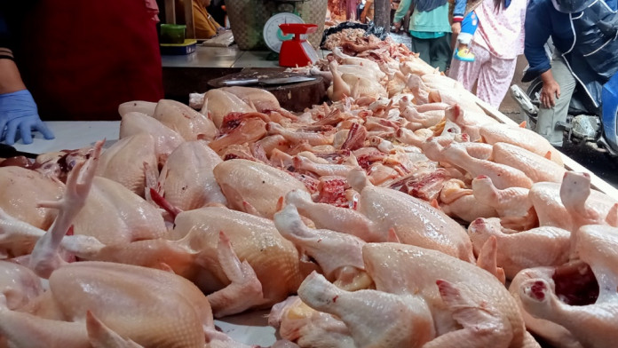H-1 IdulAdha Harga Daging Ayam di Palembang Melonjak