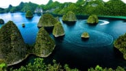 KKP Terjunkan Timsus Usut Tambang Nikel yang Rusak Raja Ampat