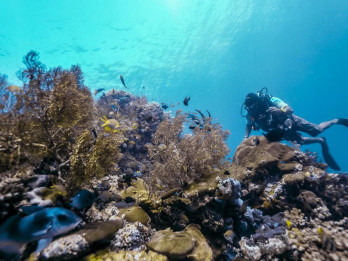 Istana Pastikan Kasus Raja Ampat Ditindaklanjuti: ESDM dan KLH Sudah Ambil Langkah