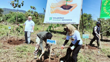 Aksi Nyata PNM Hijaukan Bumi dan Jaga Laut Indonesia