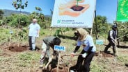Aksi Nyata PNM Hijaukan Bumi dan Jaga Laut Indonesia