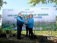Upaya Konservasi 5.000 Pohon Endemik Sulawesi, Termasuk Kayu Khusus Kapal Pinisi