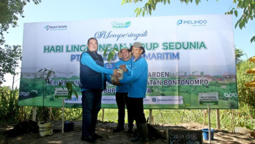 Upaya Konservasi 5.000 Pohon Endemik Sulawesi, Termasuk Kayu Khusus Kapal Pinisi
