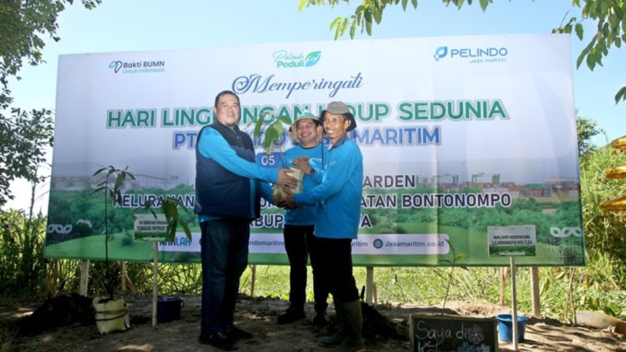 Upaya Konservasi 5.000 Pohon Endemik Sulawesi, Termasuk Kayu Khusus Kapal Pinisi