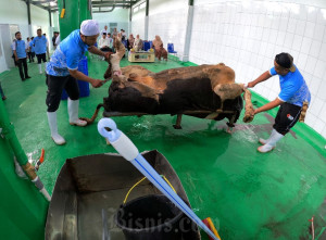Pemkab Bandung Barat Ajak Warga Manfaatkan RPH Untuk Sembelih Hewan Kurban