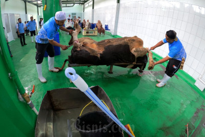 Pemkab Bandung Barat Ajak Warga Manfaatkan RPH Untuk Sembelih Hewan Kurban