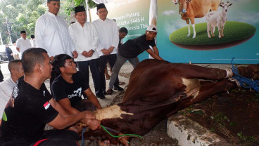 BSI Fokus Distribusi Hewan Kurban ke Daerah Pelosok