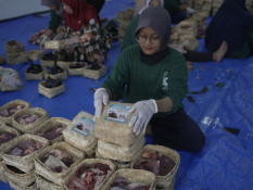 Jaga Lingkungan, UMM Konsisten Laksanakan Green dan Halal Kurban