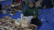 Jaga Lingkungan, UMM Konsisten Laksanakan Green dan Halal Kurban