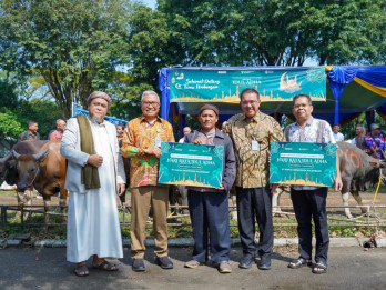 Pusri Palembang Salurkan 60 Hewan Kurban Iduladha Tahun Ini
