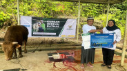 Kolaborasi PNM dan BAZNAS Salurkan Hewan Kurban untuk Masyarakat 3T