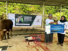 Kolaborasi PNM dan BAZNAS Salurkan Hewan Kurban untuk Masyarakat 3T