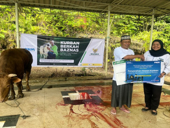 Kolaborasi PNM dan BAZNAS Salurkan Hewan Kurban untuk Masyarakat 3T