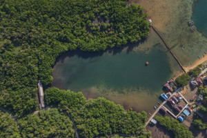 Rencana Peraturan Perlindungan dan Pengelolaan Mangrove