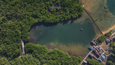 Rencana Peraturan Perlindungan dan Pengelolaan Mangrove