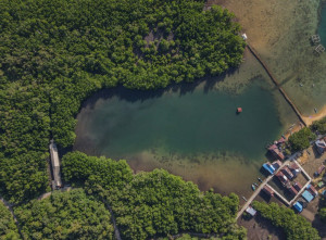 Rencana Peraturan Perlindungan dan Pengelolaan Mangrove