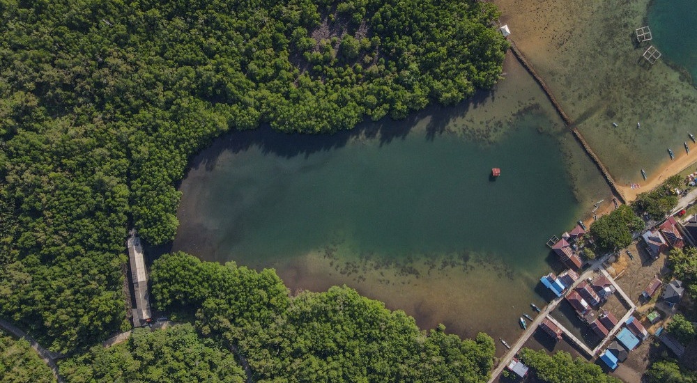 Rencana Peraturan Perlindungan dan Pengelolaan Mangrove