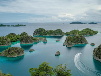 IDCA Surati Prabowo, Minta Izin Tambang Nikel di Raja Ampat Dicabut Permanen!