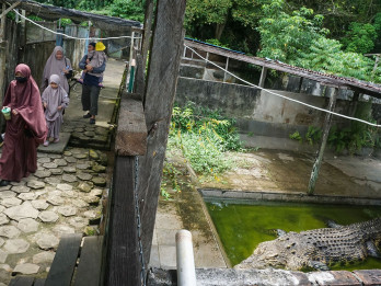 Wisata Penangkaran Buaya di Balikpapan