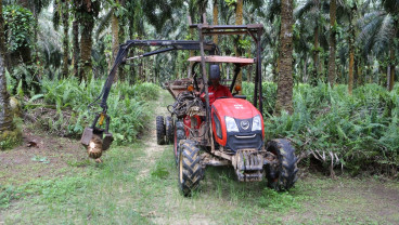 Guyuran Capex Jumbo DSNG, SSMS & AALI Siap Genjot Bisnis Sawit 2025