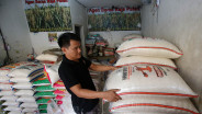 Jadwal dan Kriteria Penerima Bansos Beras 20 Kilogram