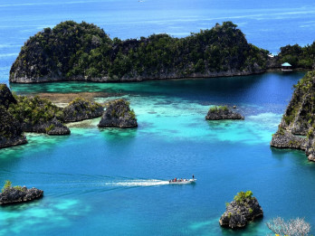 Daftar Perusahaan yang Kantongi Izin Tambang di Raja Ampat, Beberapa Langgar Izin Lingkungan
