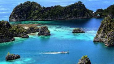 Ramai Kapal JKW Mahakam & Dewi Iriana Angkut Nikel Raja Ampat, Siapa Pemiliknya?