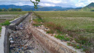 Kekeringan di Pesisir Selatan Sumbar, Petani Tak Bisa Garap Sawah Sejak Januari 2025