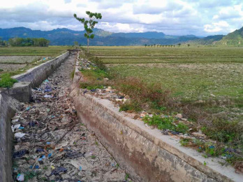 Kekeringan di Pesisir Selatan Sumbar, Petani Tak Bisa Garap Sawah Sejak Januari 2025
