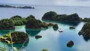 Pengamat Sarankan Tambang Nikel di Raja Ampat Ditutup Permanen
