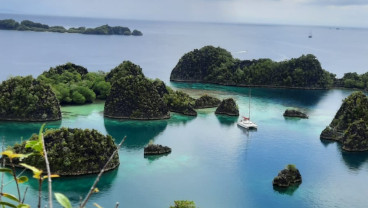 Punya Hak Istimewa, Gag Nikel dan 12 Perusahaan Bisa Tambang Terbuka di Hutan Lindung