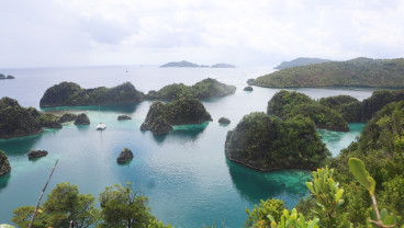 Profil Pemilik Kapal JKW Mahakam & Dewi Iriana yang Diduga Angkut Nikel Raja Ampat