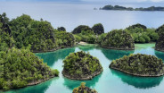 Pemerintah Didesak Tindak Tegas Tambang Nikel Perusak Lingkungan di Raja Ampat