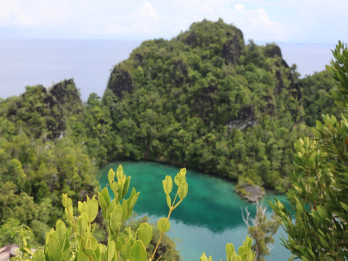 Anggota DPR Desak Pemerintah Cabut Permanen IUP Nikel di Raja Ampat