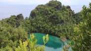 Anggota DPR Desak Pemerintah Cabut Permanen IUP Nikel di Raja Ampat