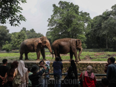 Selama Libur Iduladha 80.000 Orang Berlibur Di Ragunan