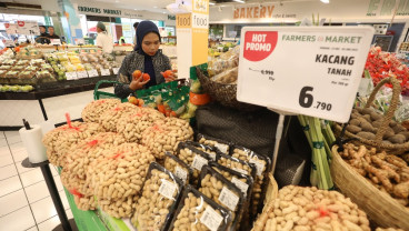 RANC Alokasikan Capex Rp84,47 Miliar