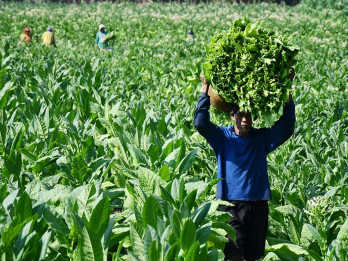Ekspor Jatim Tembus US$8,31 Miliar sampai April 2025
