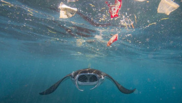 Konferensi Kelautan PBB Serukan Aksi Nyata untuk Selamatkan Laut