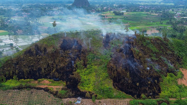 Kebakaran Hutan dan Lahan di Limapuluhkota