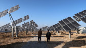 Produksi Energi Surya China Dibayangi Pelemahan Permintaan