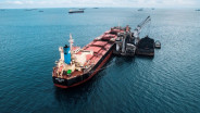 Polemik Tambang Nikel Raja Ampat, IMC Pelita Logistik (PSSI) Buka Suara Soal Kapal JKW Mahakam & Dewi Iriana
